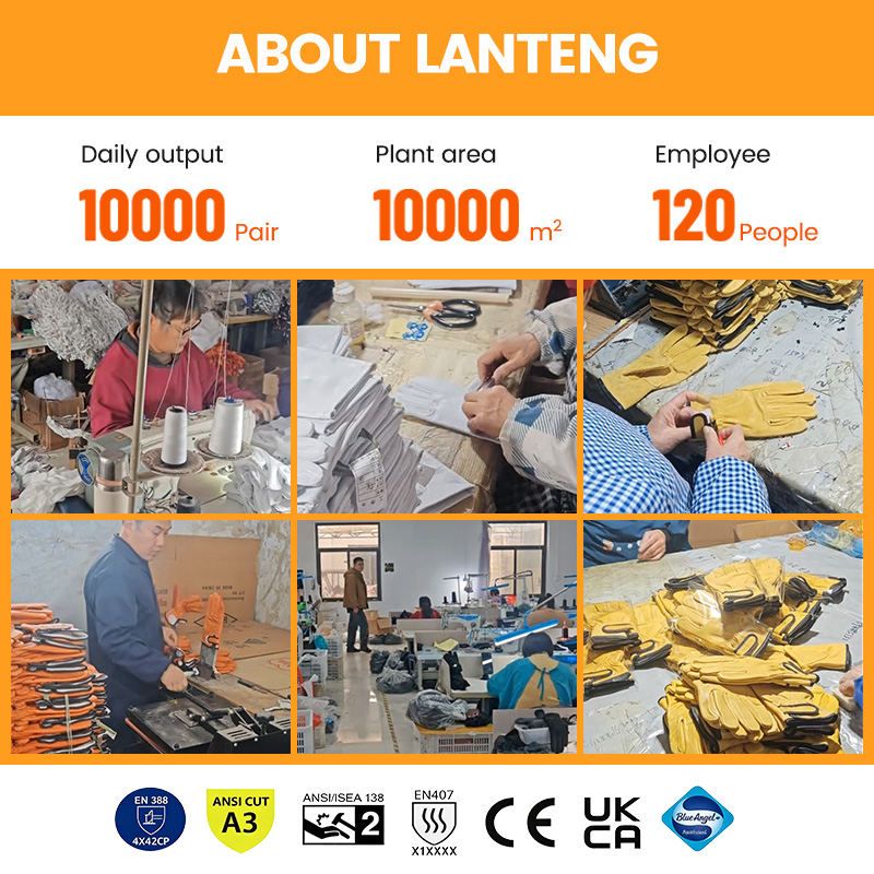 Custom logo High Quality Winte - Leatherwork Logo 评论和价格